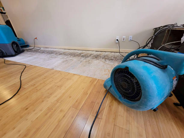 Professional Structural Drying technician working in Elgin, OR
